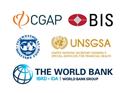 CGAP and BIS and IMF and UNSGSA and World Bank